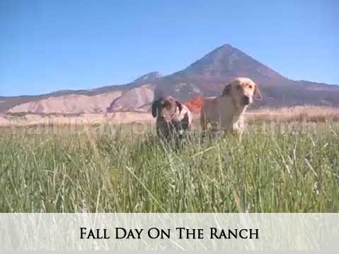 Fall on the Ranch