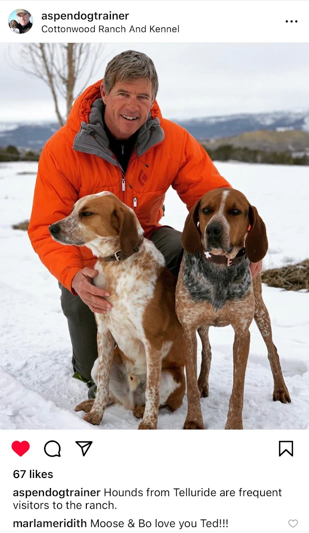 Marla Meridith's hounds at Cottonwood Ranch
